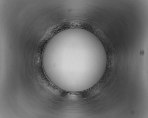 X0000111170706200907151259