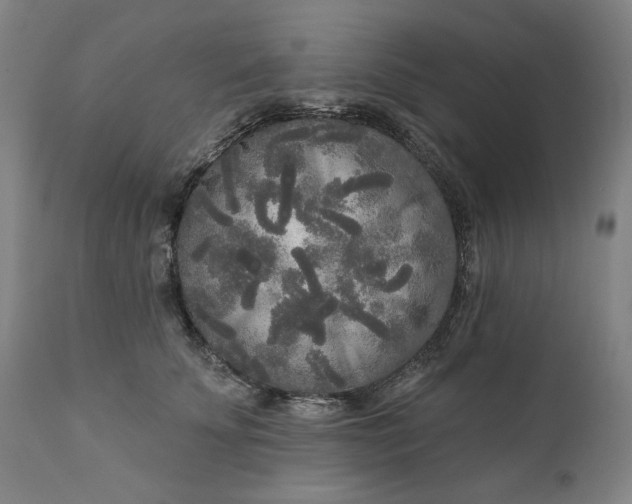 X0000111170707200907151259