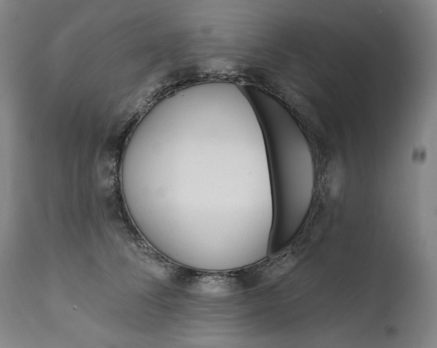 X0000111170708200907151259