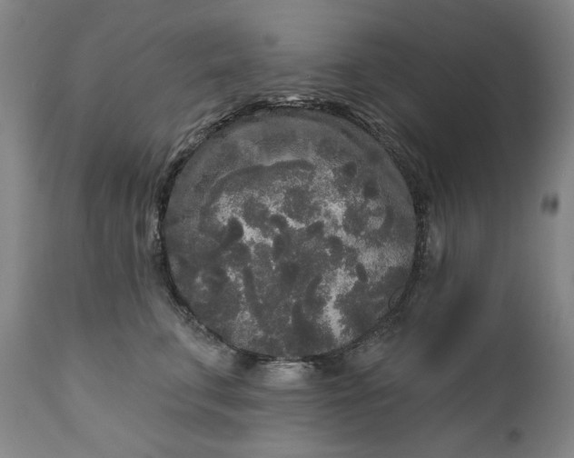 X0000111170711200907151259