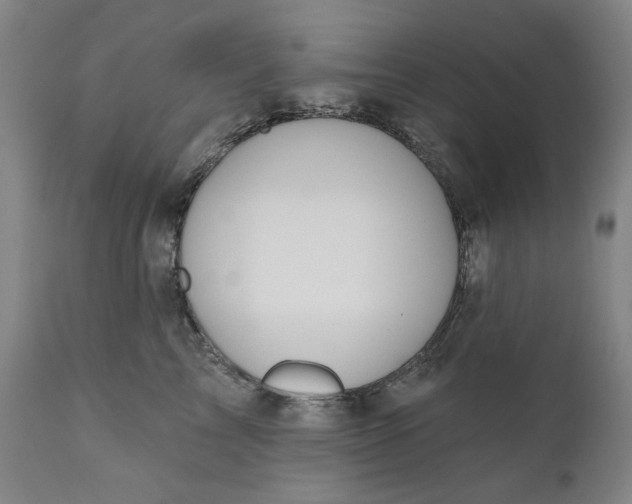 X0000111170713200907151259