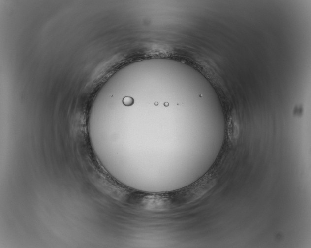 X0000111170714200907151259