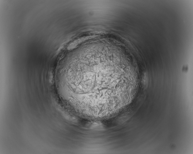 X0000111170715200907151259