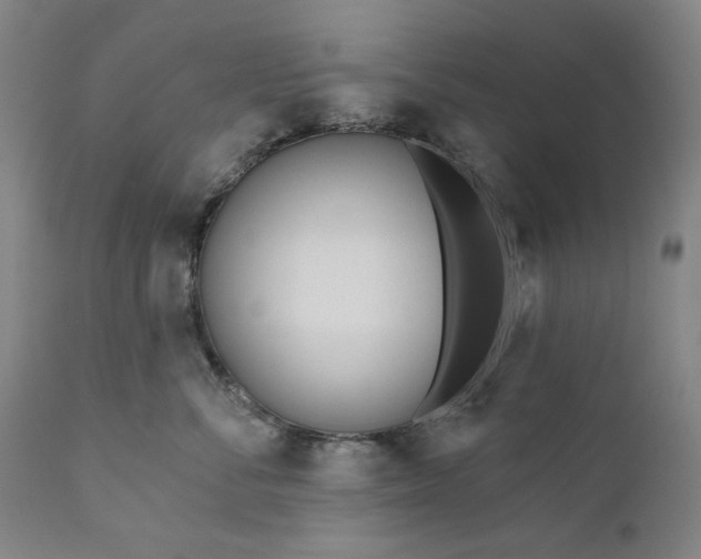 X0000111170716200907151259