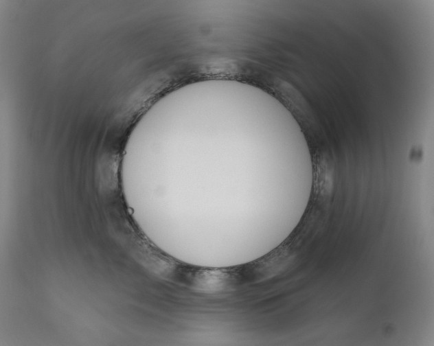 X0000111170717200907151259