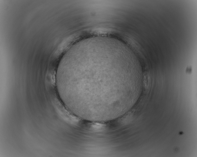 X0000111170718200907151259