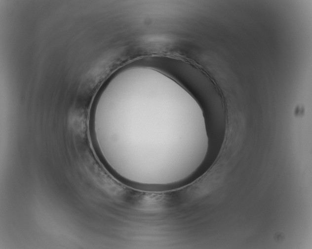 X0000111170720200907151259