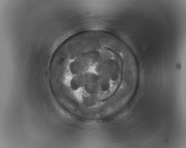 X0000111170721200907151258