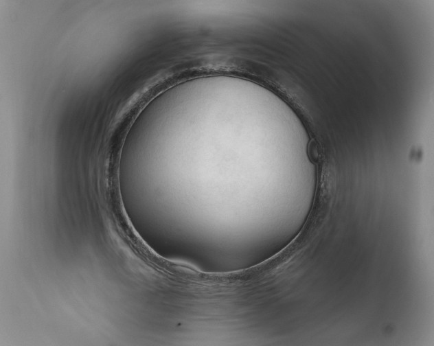 X0000111170722200907151258