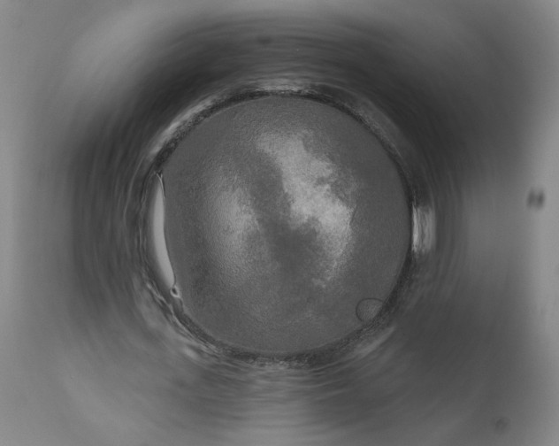 X0000111170723200907151258