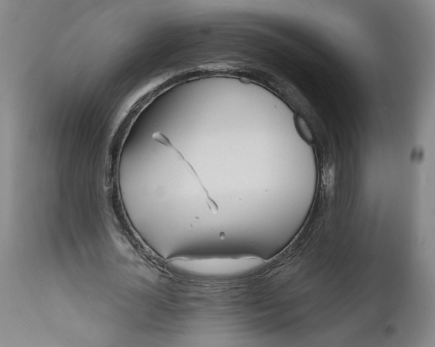 X0000111170724200907151258