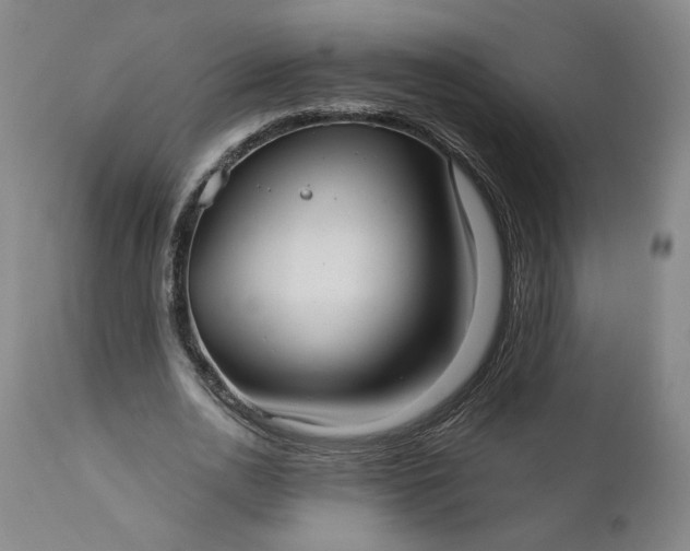 X0000111170726200907151258