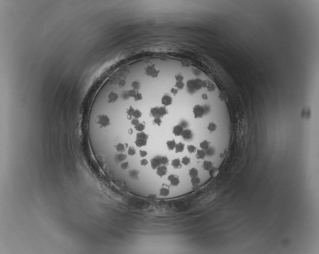 X0000111170727200907151258