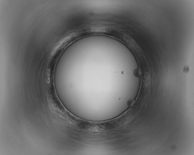 X0000111170731200907151258