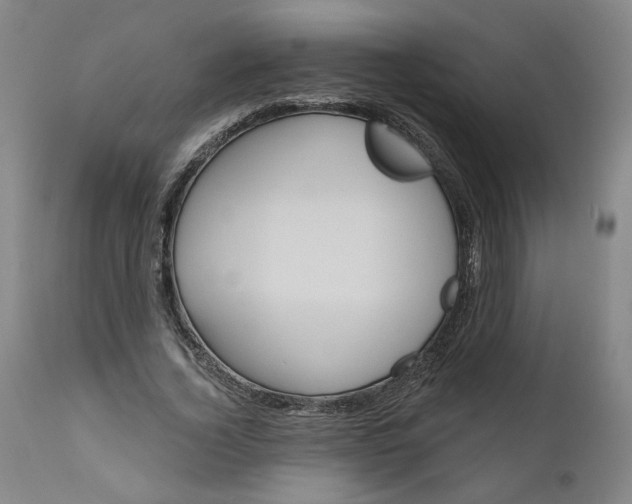 X0000111170732200907151258