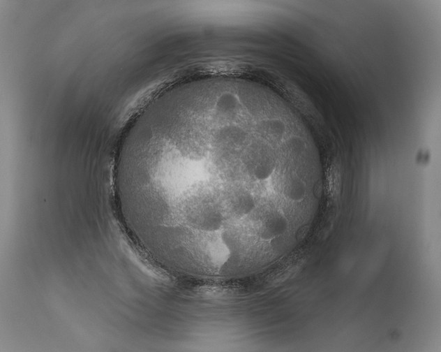 X0000111170733200907151258