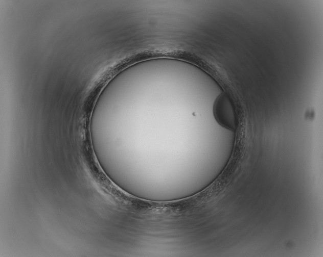 X0000111170736200907151258