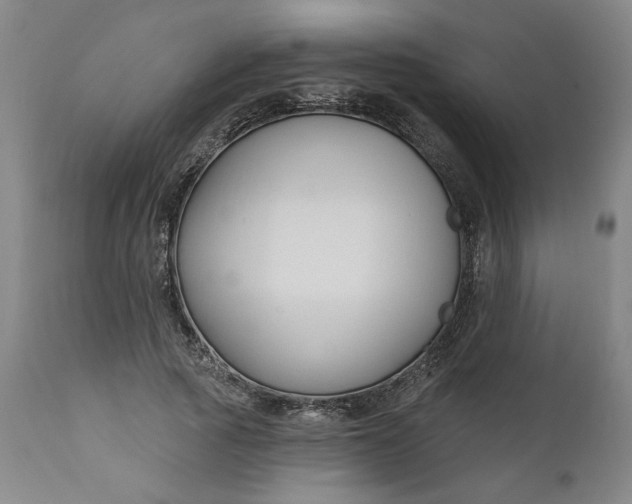 X0000111170737200907151258