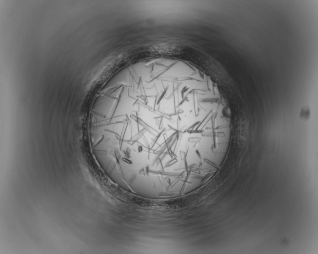 X0000111170738200907151258