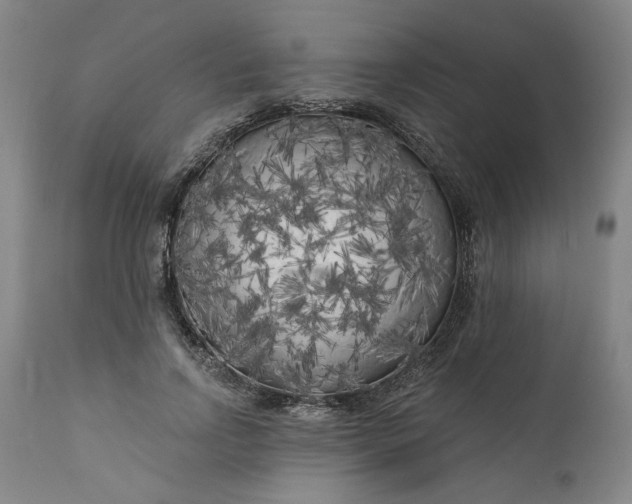 X0000111170742200907151258