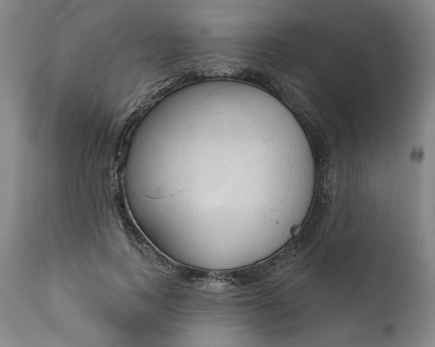 X0000111170743200907151258