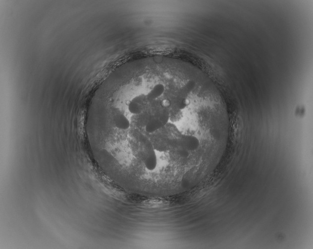 X0000111170745200907151258