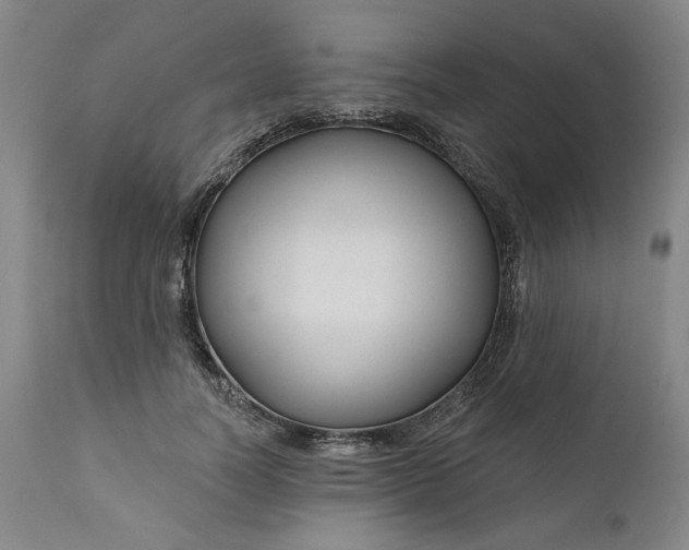 X0000111170746200907151258