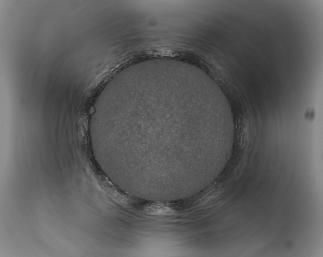 X0000111170747200907151258