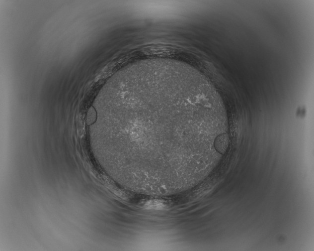 X0000111170751200907151258