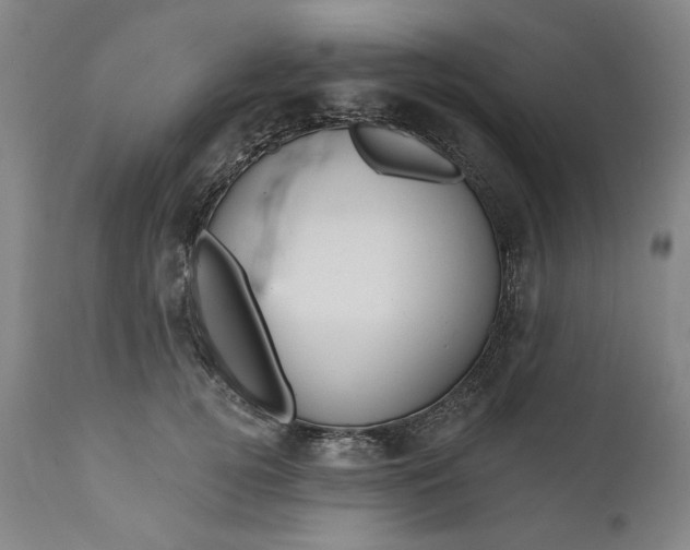 X0000111170752200907151258