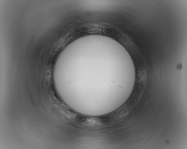 X0000111170753200907151258