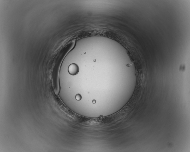 X0000111170756200907151258