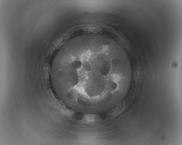 X0000111170757200907151258