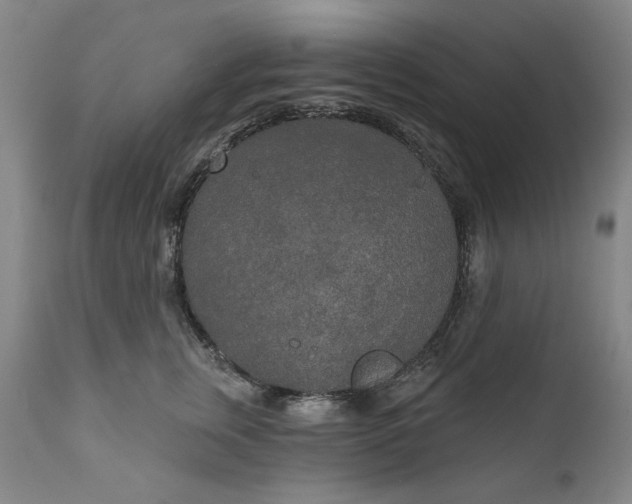 X0000111170759200907151259