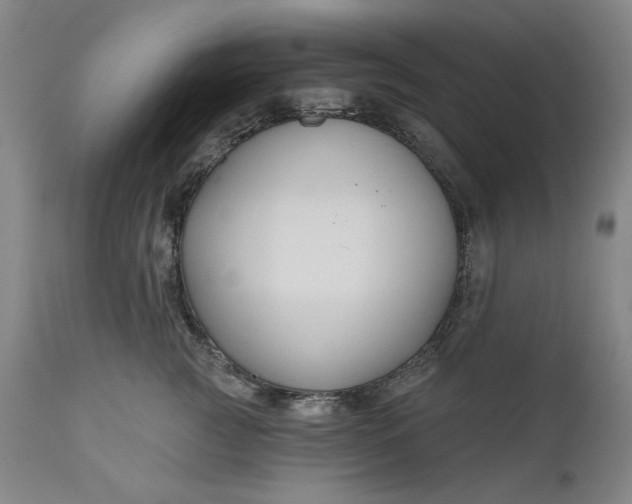 X0000111170761200907151259