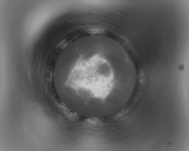 X0000111170763200907151259