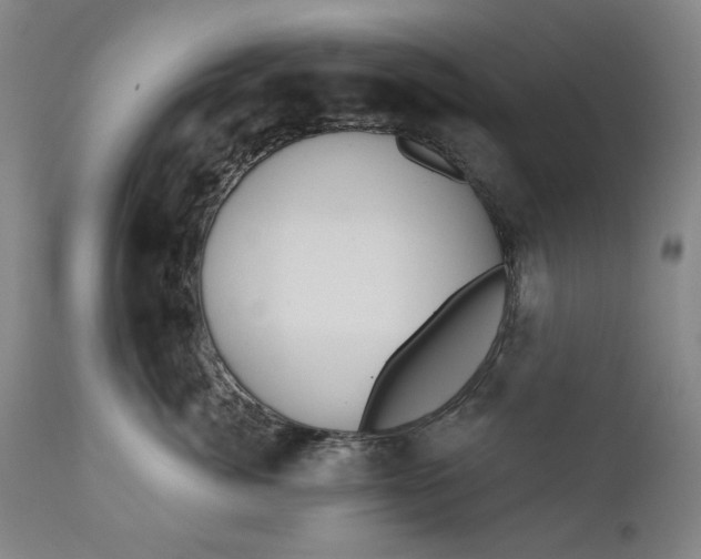 X0000111170764200907151259