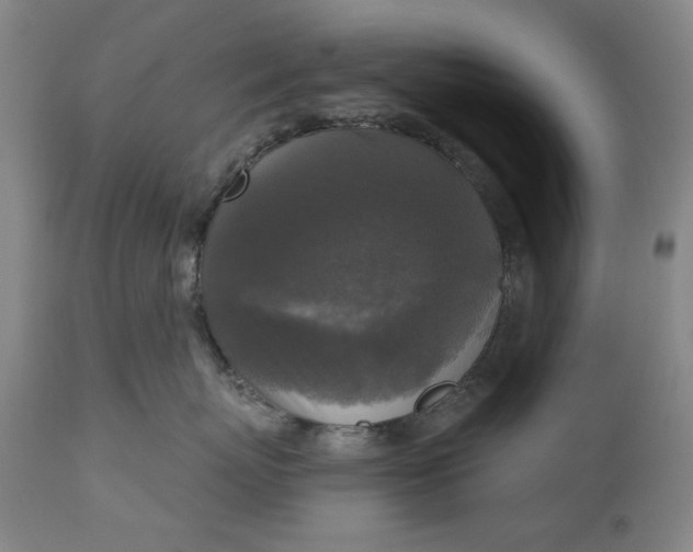 X0000111170767200907151259