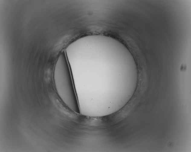 X0000111170768200907151259