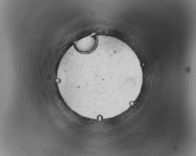 X0000111170769200907151258