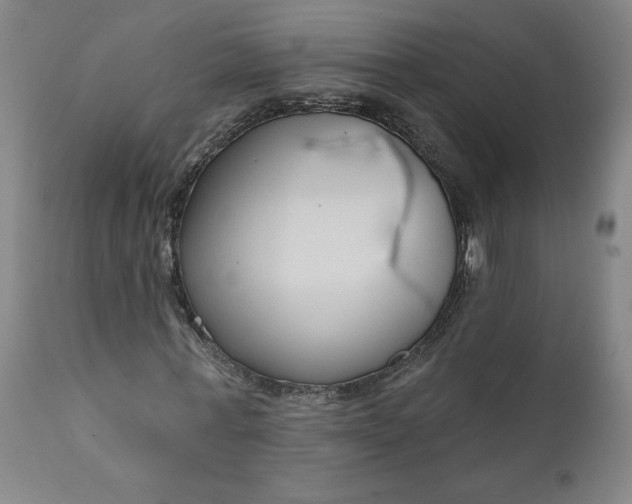 X0000111170771200907151258