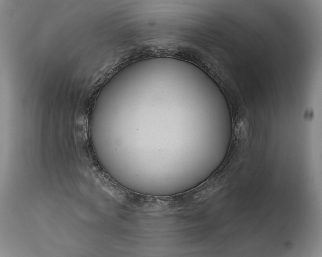 X0000111170772200907151258