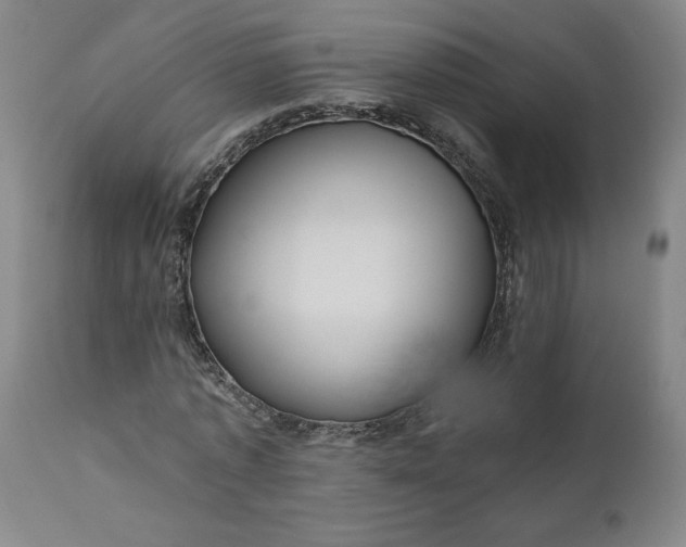 X0000111170773200907151258