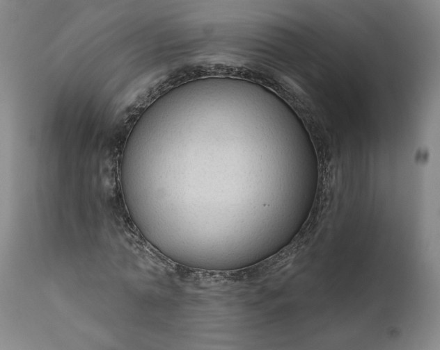 X0000111170774200907151258