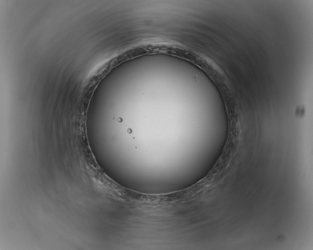 X0000111170775200907151258