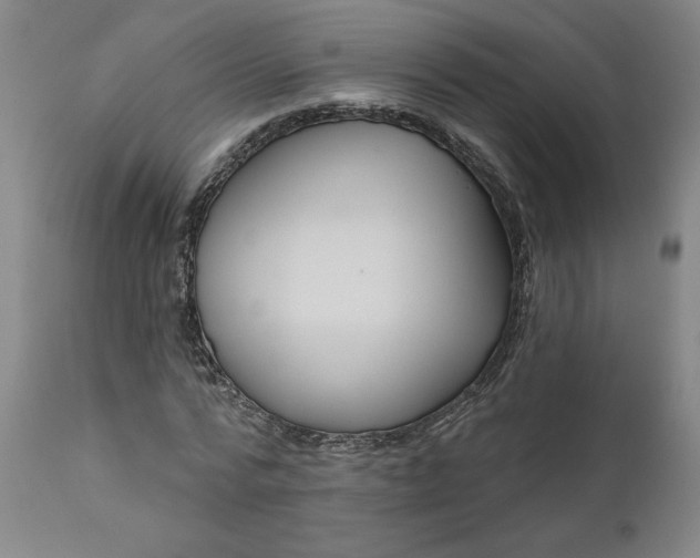 X0000111170776200907151258