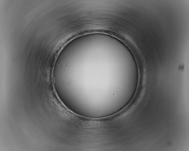 X0000111170777200907151258