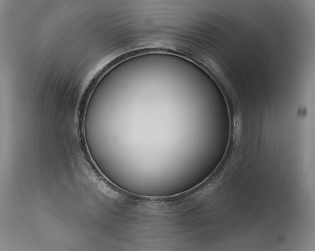 X0000111170780200907151258