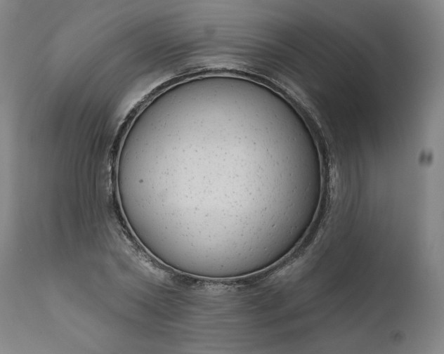 X0000111170782200907151258