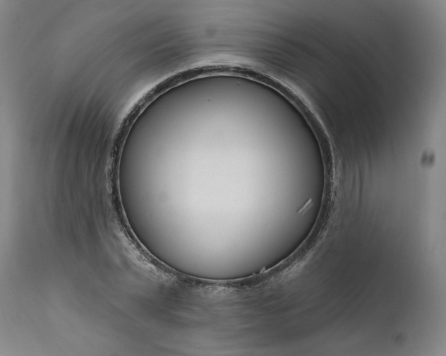 X0000111170783200907151258